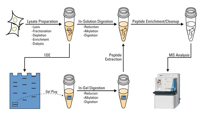 Sample prep workflow Sample prep workflow