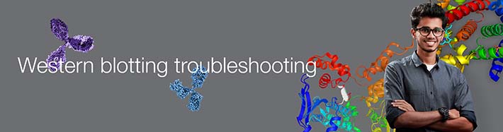 Troubleshooting Troubleshooting