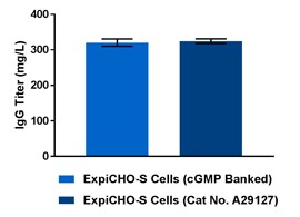 ExpiCHO-S Expression System graph ExpiCHO cGMP banked cells produce IgG titers equivalent to non-cGMP-banked line