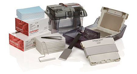 SureLock Tandem Midi welcome pack SureLock Tandem Midi welcome pack