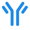 icons-AP-pp-100x100 icons-AP-pp-100x100