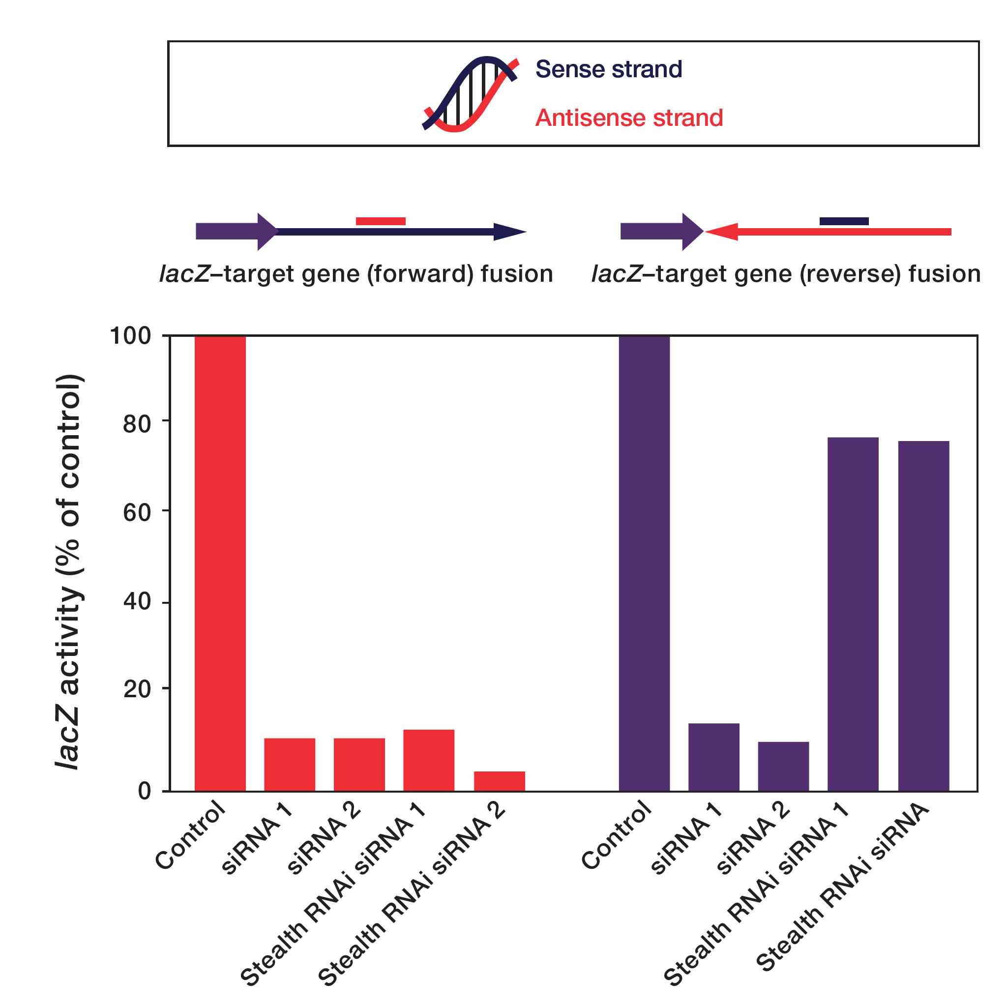 Stealth RNAi siRNA exhibits increased specificity for targets Bar graph comparing specificity for target gene between Stealth RNAi and standard siRNA