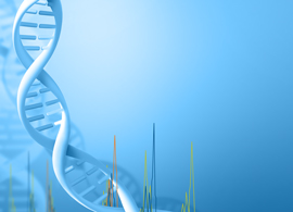 Fragment-analysis-applications Fragment-analysis-applications