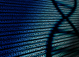 Next-Generation_Sequencing_Confirmation Next-Generation_Sequencing_Confirmation