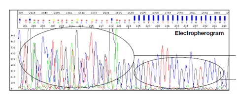 data.par.20694.image.pcr data.par.20694.image.pcr