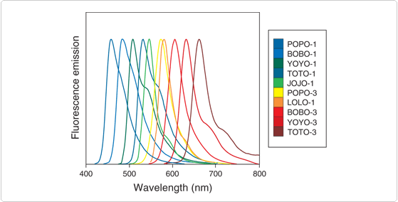 viability-cytotoxicity-assay-reagents.par.52432.image.559.284.1.s000161-fluorescence-emission-spectra-gif viability-cytotoxicity-assay-reagents.par.52432.image.559.284.1.s000161-fluorescence-emission-spectra-gif