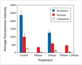 viability-cytotoxicity-assay-reagents.par.74746.image.275.219.1.s002277-bovine-pulmonary-endothelial-cells-gif viability-cytotoxicity-assay-reagents.par.74746.image.275.219.1.s002277-bovine-pulmonary-endothelial-cells-gif
