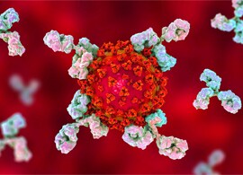 Inside cell11 luminex eyecandy Inside cell11 luminex eyecandy